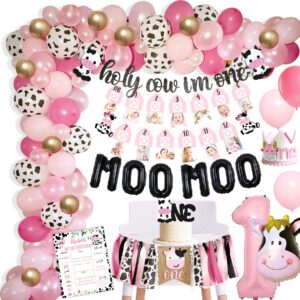 cow first birthday party decorations, farm first birthday party supplies, holy cow i'm one birthday decorations, 1st birthday girl decoration, first birthday decoration for girl, farmhouse animal cow