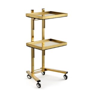 2-tier metal rolling cart, stainless steel salon storage stand with wheels trolley tray storage cart kitchen storage trolley utility for bedroom tattoo shop (golden)