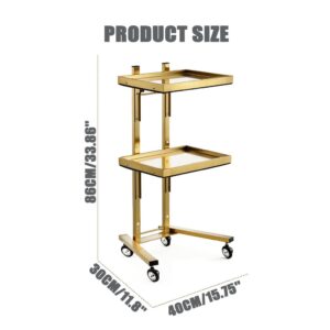 2-Tier Metal Rolling Cart, Stainless Steel Salon Storage Stand with Wheels Trolley Tray Storage Cart Kitchen Storage Trolley Utility for Bedroom Tattoo Shop (Golden)