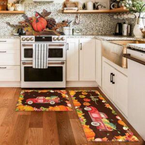 flippana 2 Pcs Fall Kitchen Rugs and Mats for Floor Non-Slip Backing Mat, Fall Decor Anti Fatigue Kitchen Rug Sets with Runner Fall Decorations for Home (Color 03, 17"x47.2"+17"x30")