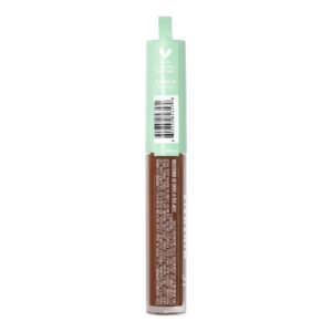 e.l.f. Mint Melt Lip Gloss, High-shine, Hydrating Lip Gloss, Plumps Lips & Creates Subtle, Buildable Color, Vegan & Cruelty-Free, Chocolate Chip