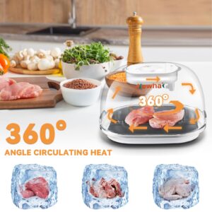 Newhai Defrost Tray for Frozen Meat, Upgraded Defrosting Board 360°Defroster with Atomizer for Beef Chicken Sea Food Kitchen Use