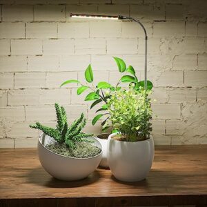 Juhefa Grow Light for Indoor Plants Growing, 6000K Full Spectrum Gooseneck Plant Lamp for Seedings Succulents Small Plants, 5 Dimming & 4/8/12/18H Timer (1 Pack)