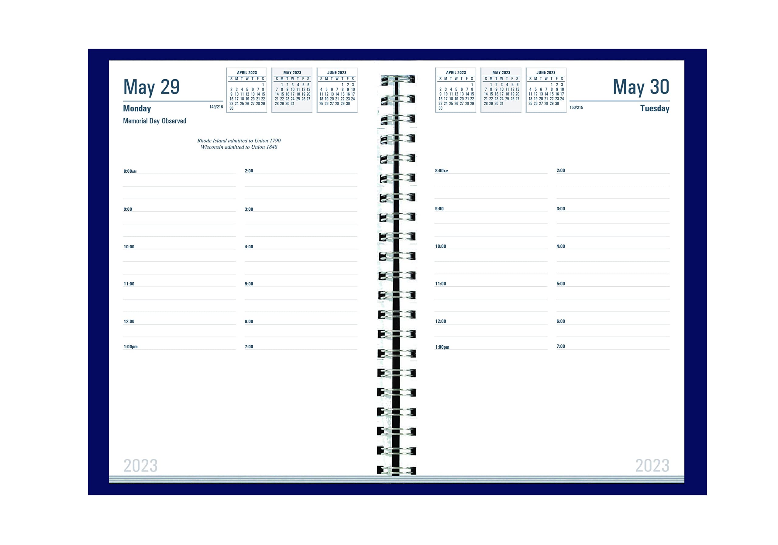 House of Doolittle 2023 Daily Appointment Calendar Planner, Academic, 5 1/4 x 8 1/2 Inches, July - June, Blue (HOD288507-23)