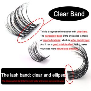 Cluster Lashes DIY Eyelash Extension Volume Wide Stem Individual Lashes with Clear Band D Curl 39 Clusters Natural Fluffy Makeup at Home Lashes(FD02-8/10/12mm)