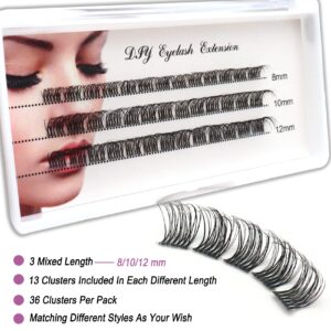 Cluster Lashes DIY Eyelash Extension Volume Wide Stem Individual Lashes with Clear Band D Curl 39 Clusters Natural Fluffy Makeup at Home Lashes(FD02-8/10/12mm)