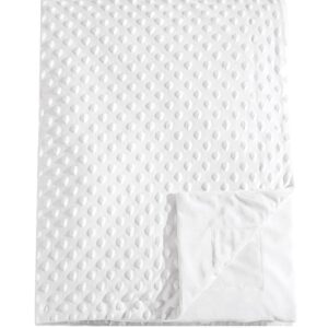 david's kids minky baby blanket for boys girls neutral, soft lightweight micro fleece blanket with double layer, dotted backing, breathable receiving blanket for newborns, 30x40 inches, white
