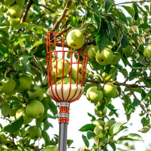 Walensee 13FT Fruit Picker, Adjustable Fruits Picker Tool with Lightweight Stainless Steel Pole and Big Basket, Fruit Catcher Equipment Tree Picker for Apples Mango Pear Orange Avocados Fruit Picking
