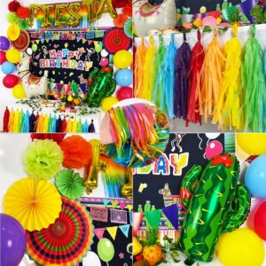 Cinco De Mayo Decorations Mexican Party Birthday Supplies for Boys Girls Adult- Happy Birthday Backdrop Fiesta Balloons for Fiesta Party Decorations