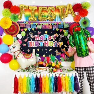 Cinco De Mayo Decorations Mexican Party Birthday Supplies for Boys Girls Adult- Happy Birthday Backdrop Fiesta Balloons for Fiesta Party Decorations