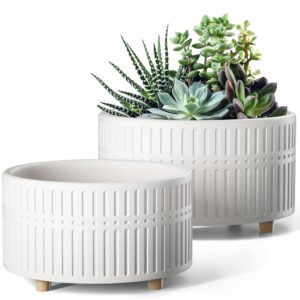 le tauci succulent pots, 6.5+8 inch ceramic indoor plant pot with drainage hole, modern round decorative flower pot, gifts for mom, set of 2, matte white