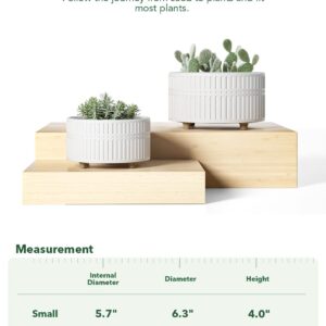 LE TAUCI Succulent Pots, 6.5+8 Inch Ceramic Indoor Plant Pot with Drainage Hole, Modern Round Decorative Flower Pot, Gifts for Mom, Set of 2, Matte White