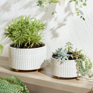 LE TAUCI Succulent Pots, 6.5+8 Inch Ceramic Indoor Plant Pot with Drainage Hole, Modern Round Decorative Flower Pot, Gifts for Mom, Set of 2, Matte White