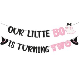 pink our little boo is turning two banner for halloween birthday party decorations halloween birthday banner decorations for girl halloween 2nd birthday decorations for girl
