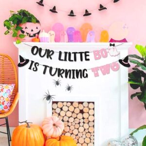 Pink Our Little Boo is Turning Two Banner for Halloween Birthday Party Decorations Halloween Birthday Banner Decorations for Girl Halloween 2nd Birthday Decorations for Girl