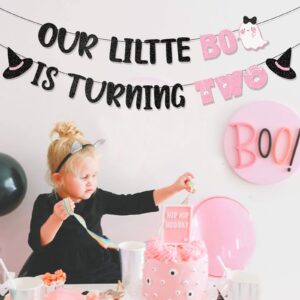 Pink Our Little Boo is Turning Two Banner for Halloween Birthday Party Decorations Halloween Birthday Banner Decorations for Girl Halloween 2nd Birthday Decorations for Girl