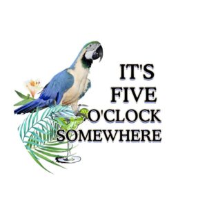 vinyl wall quotes stickers it's 5 o'clock somewhere creative wall art stickers wall decoration macaw summer wall decals for nursery car playroom doors