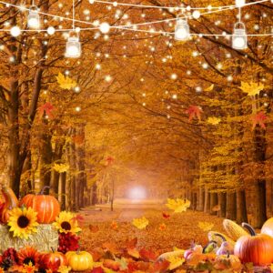 LTLYH 7x5ft Fall Forest Backdrop Autumn Thanksgiving Backdrop Maple Forest Leaves Friendsgiving Party Banner Backdrop Supplies Farm Harvest Event Photo Backdrop 185