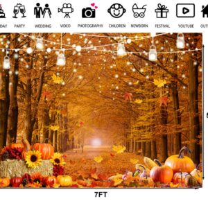 LTLYH 7x5ft Fall Forest Backdrop Autumn Thanksgiving Backdrop Maple Forest Leaves Friendsgiving Party Banner Backdrop Supplies Farm Harvest Event Photo Backdrop 185