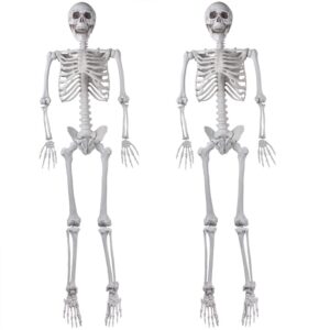 2packs 5.4ft halloween human skeletons life size full body bones with movable joints for halloween props spooky party decoration