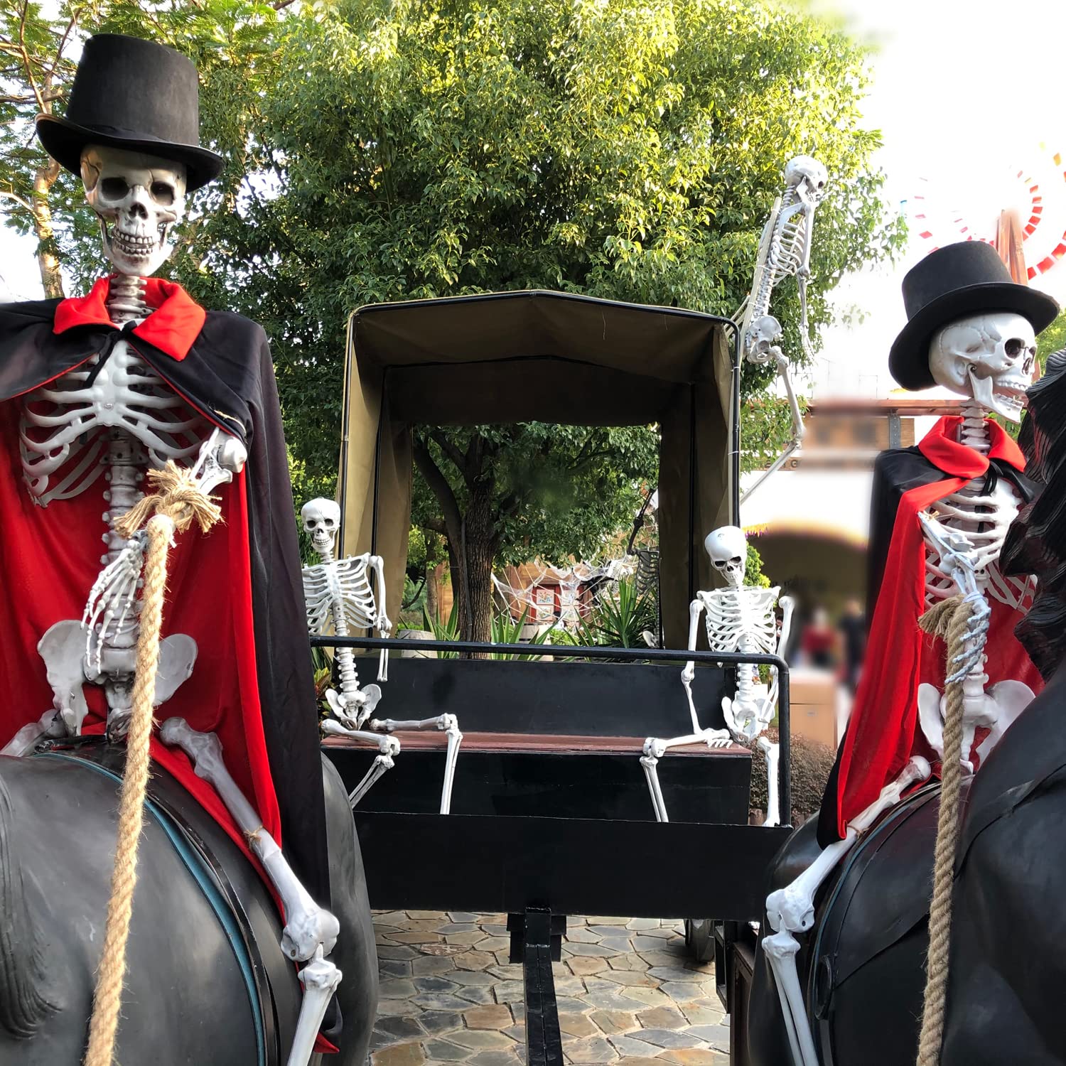 2Packs 5.4ft Halloween Human Skeletons Life Size Full Body Bones with Movable Joints for Halloween Props Spooky Party Decoration