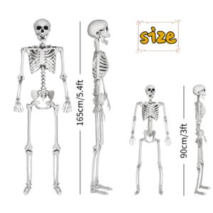 INHOTBY Halloween Skeleton Life Size,2 Pack - Adult (5.4ft) and Child (3ft) Full Size Posable Skeleton,Plastic Skeleton Halloween Decor,Scary Halloween Party Decorations Outdoor/Indoor