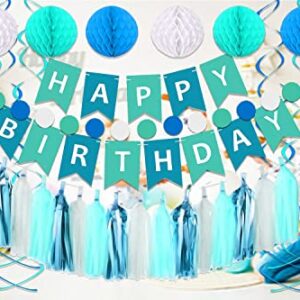 Blue Birthday Party Decorations, Blue Happy Birthday Banner for Kids Birthday Decorations, Blue Tissue Paper Tassels Garland Honeycomb Balls Swirls Streamers for Boys Girls Family Birthday Decorations