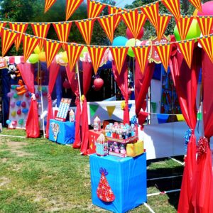 5 Packs Carnival Pennant Banner Party Decorations, Vintage Circus Theme Birthday Banner Bunting Decor, Carnival Themed Party Triangle Banner Flags Party Supplies for Indoor Outdoor