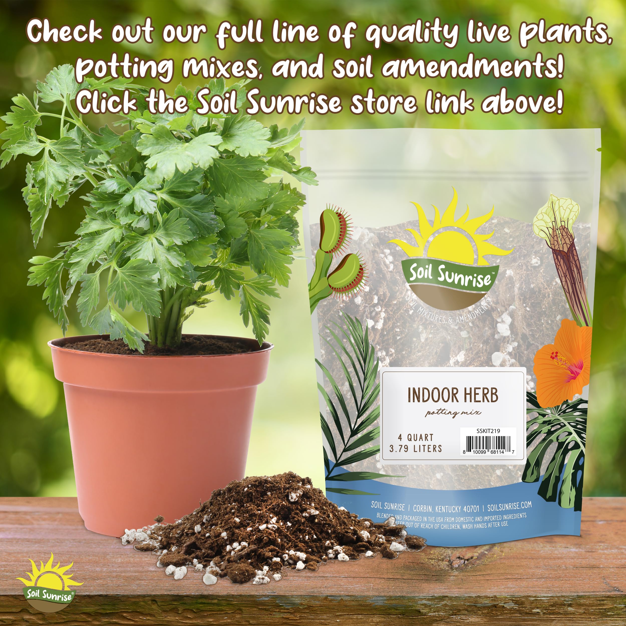 African Violet Potting Soil Mix (2 Quarts), Custom Hand Blended Soil Additive for Indoor Plants