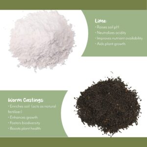 African Violet Potting Soil Mix (2 Quarts), Custom Hand Blended Soil Additive for Indoor Plants