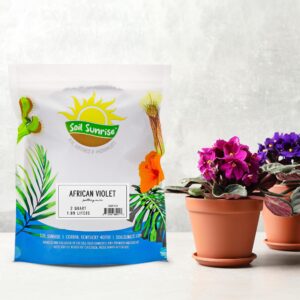 African Violet Potting Soil Mix (2 Quarts), Custom Hand Blended Soil Additive for Indoor Plants