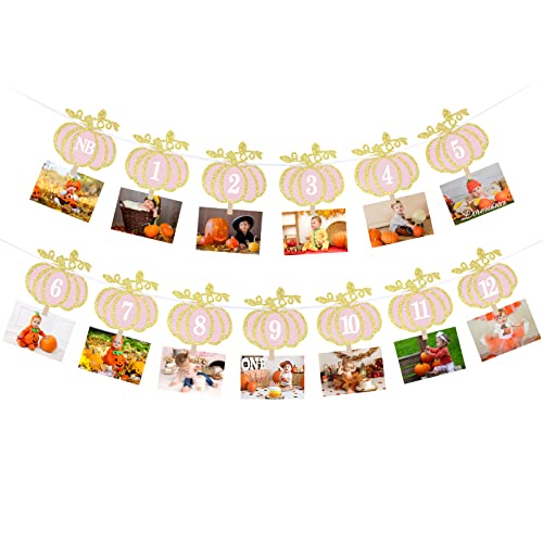 Pumpkin 1st Birthday Photo Banner Pink Gold Pumpkin First Birthday Photo Banner Pumpkin 12 Month Photo Banner for Fall Pumpkin Themed 1st Birthday Party Supplies