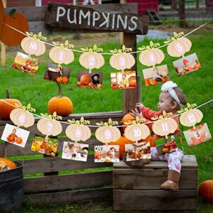 Pumpkin 1st Birthday Photo Banner Pink Gold Pumpkin First Birthday Photo Banner Pumpkin 12 Month Photo Banner for Fall Pumpkin Themed 1st Birthday Party Supplies