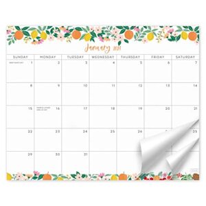 s&o fruity magnetic 2023 fridge calendar from july 2022-dec 2023 - tear-off refrigerator calendar to track events & appointments - 18 month magnetic calendar for fridge for easy planning - 8"x10" in.
