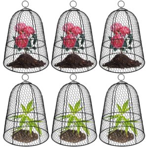 6 pack garden chicken wire cloche,19" x 14" large plant protector cover for keeping squirrels,rabbits,bunny chickens bird small animals out garden decoration wire plants dome metal cloches-black
