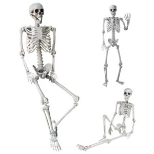 5.4ft/165cm halloween skeleton full body life size human bones with movable joints for indoor outdoor halloween props decorations