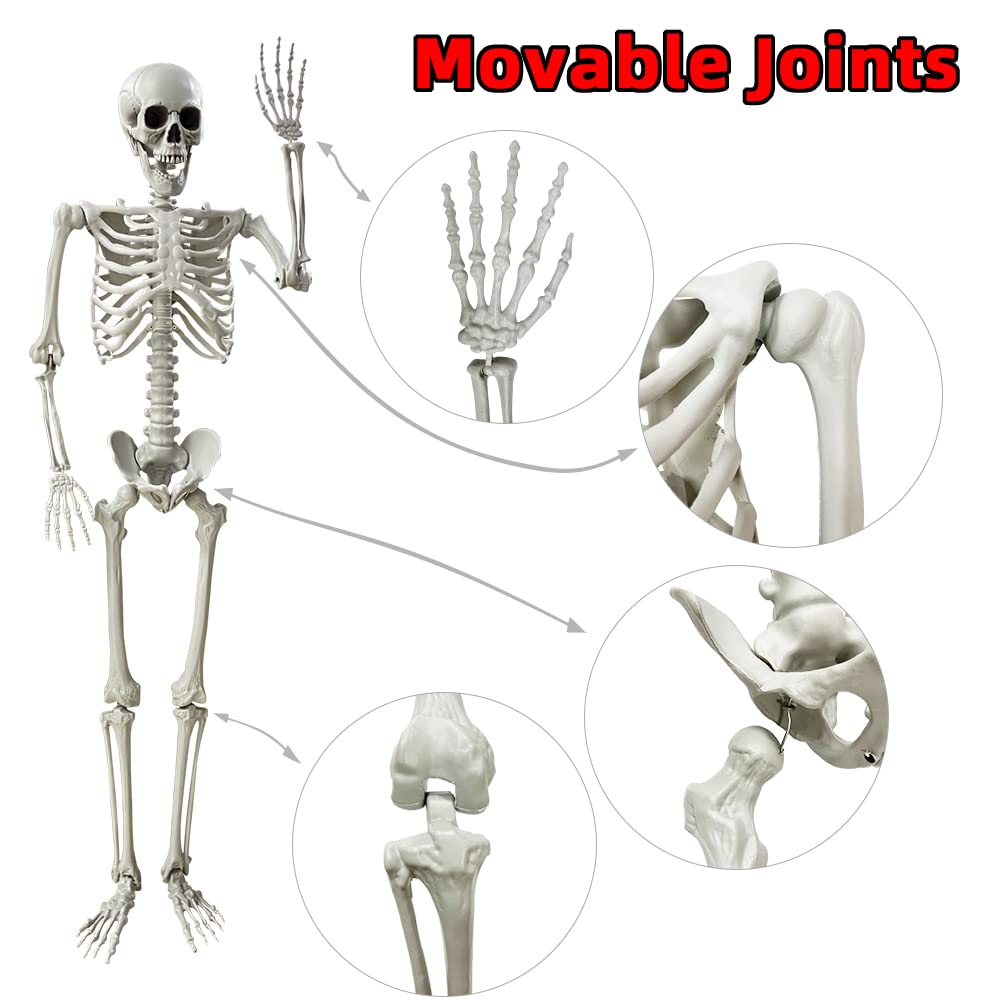 5.4Ft/165cm Halloween Skeleton Full Body Life Size Human Bones with Movable Joints for Indoor Outdoor Halloween Props Decorations