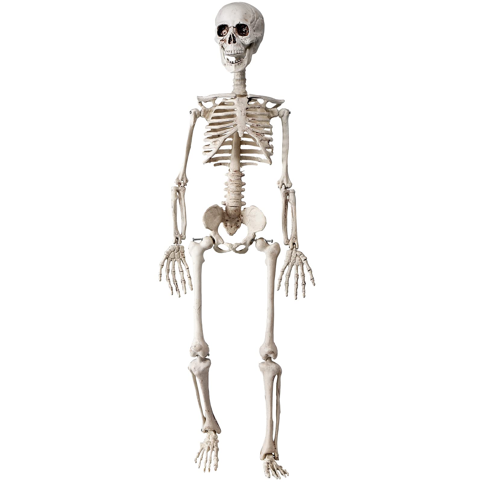 36" Skeleton Halloween Decor, 3FT Posable Halloween Skeleton Decorations for Haunted Houses, Front Lawn, Graveyard Props, Trunk or Treat, Full Body Lifelike Skeleton Model