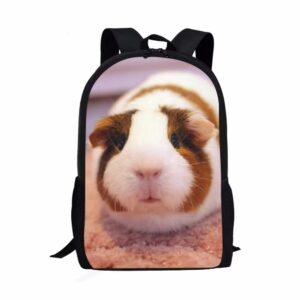 beauty collector lightweight guinea pig travel school backpack for girls kids boys