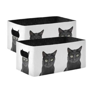 emelivor black cat storage basket bins set (2pcs) felt collapsible storage bins with handles foldable shelf drawers organizers bins for office bedroom closet babies nursery toys dvd laundry