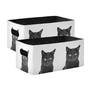 Emelivor Black Cat Storage Basket Bins Set (2pcs) Felt Collapsible Storage Bins with Handles Foldable Shelf Drawers Organizers Bins for Office Bedroom Closet Babies Nursery Toys DVD Laundry