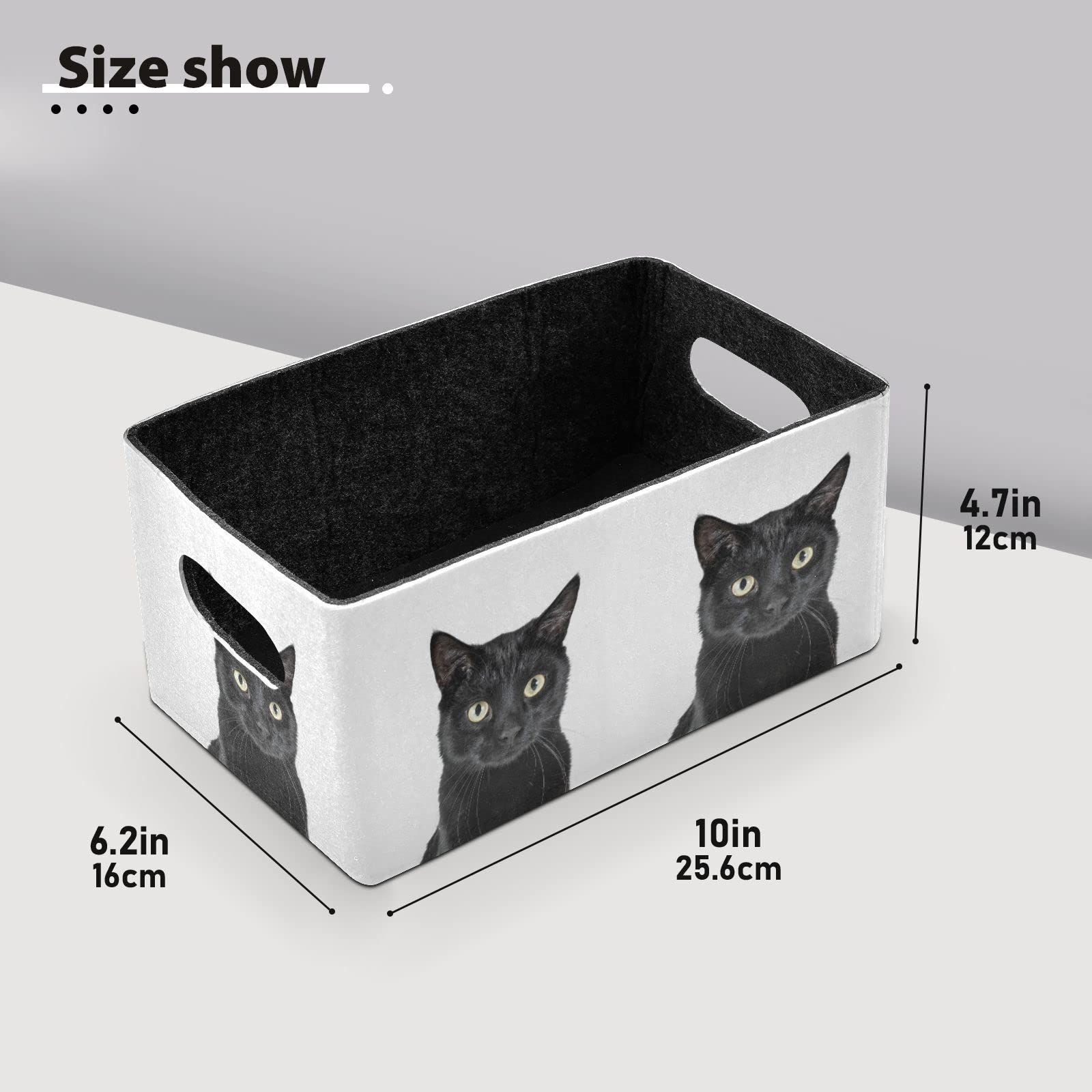 Emelivor Black Cat Storage Basket Bins Set (2pcs) Felt Collapsible Storage Bins with Handles Foldable Shelf Drawers Organizers Bins for Office Bedroom Closet Babies Nursery Toys DVD Laundry