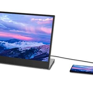 Lenovo L15 – Mobile Monitor - 15.6" FHD Display - 60Hz - 6ms–14ms Response Time - Low Bluelight Certified - Foldable Stand - USB Type-C 3.2 Gen 1 - USB 2.0