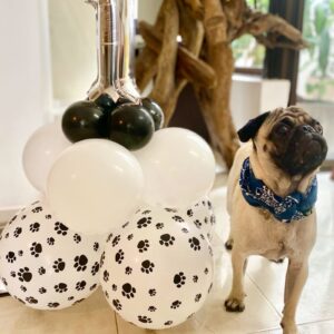 PartyWoo Paw Balloons, 50 pcs 12 Inch White Paw Print Balloons, Latex Balloons for Balloon Garland Arch as Dog Party Decorations, Dog Birthday Decorations, Dog Themed Party Decorations