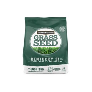pennington kentucky 31 tall fescue penkoted grass seed 3 lb, green