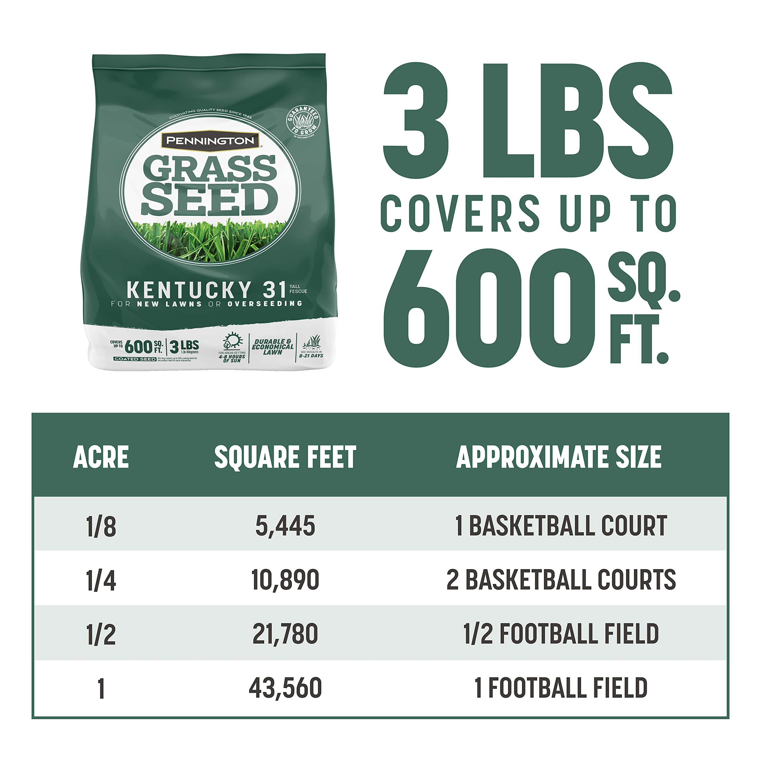 Pennington Kentucky 31 Tall Fescue Penkoted Grass Seed 3 lb, Green