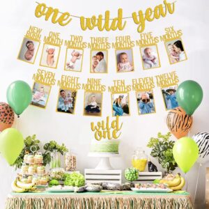 Wild One Birthday Decorations - Gold Glitter One Wild Year Banner + Baby 1st Birthday Photo Banner From Newborn to 12 Month - Safari, Jungle & Wild One Birthday Decorations