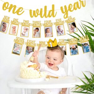 Wild One Birthday Decorations - Gold Glitter One Wild Year Banner + Baby 1st Birthday Photo Banner From Newborn to 12 Month - Safari, Jungle & Wild One Birthday Decorations