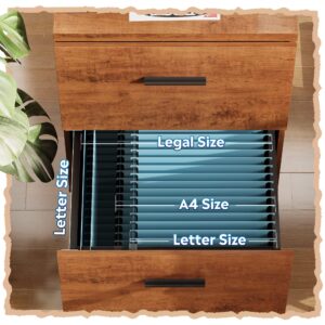 DEVAISE 2 Drawer Wood File Cabinet, Mobile Lateral Filing Cabinet with Storage, Letter Legal Size, Walnut