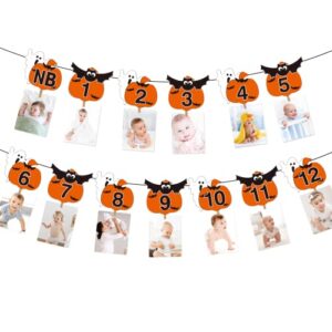 halloween 12 month photo banner with clip for halloween first birthday decorations halloween 1st birthday photo banner for boy/girl the spooky one birthday party decorations